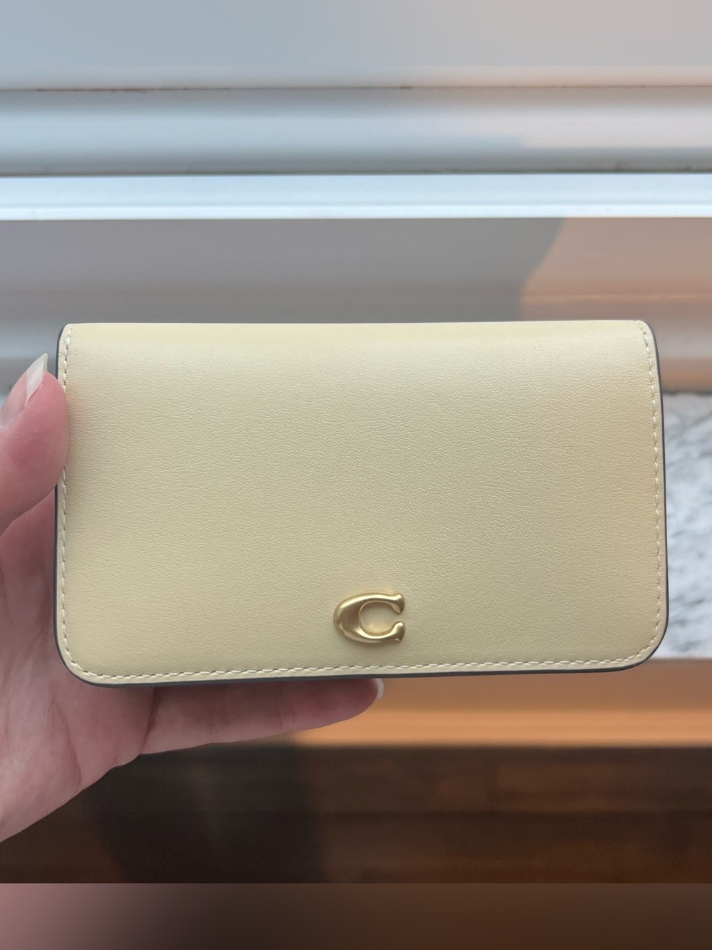 Essential Slim Card Case EUC/GUC Moonlight with Brass Hardware